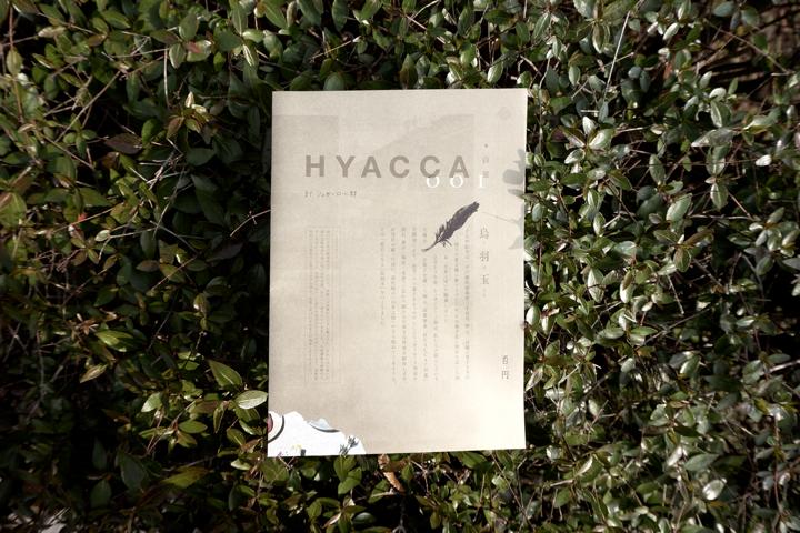 hyacca_001_photo_1